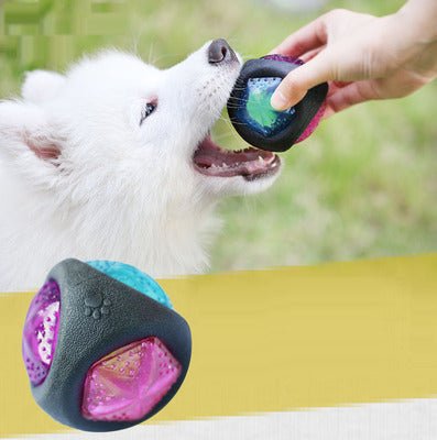 lowBounce™ Flashing Dog Toy Ball