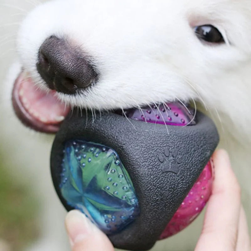 lowBounce™ Flashing Dog Toy Ball
