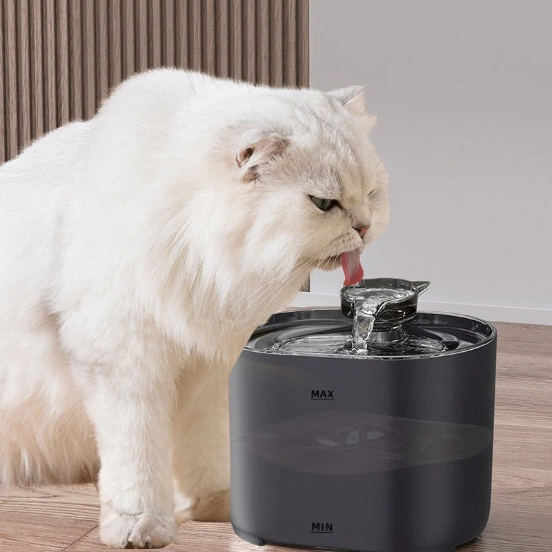HydroPet™ Cat Water Dispenser