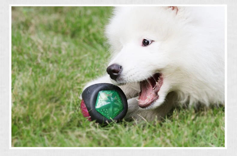 lowBounce™ Flashing Dog Toy Ball