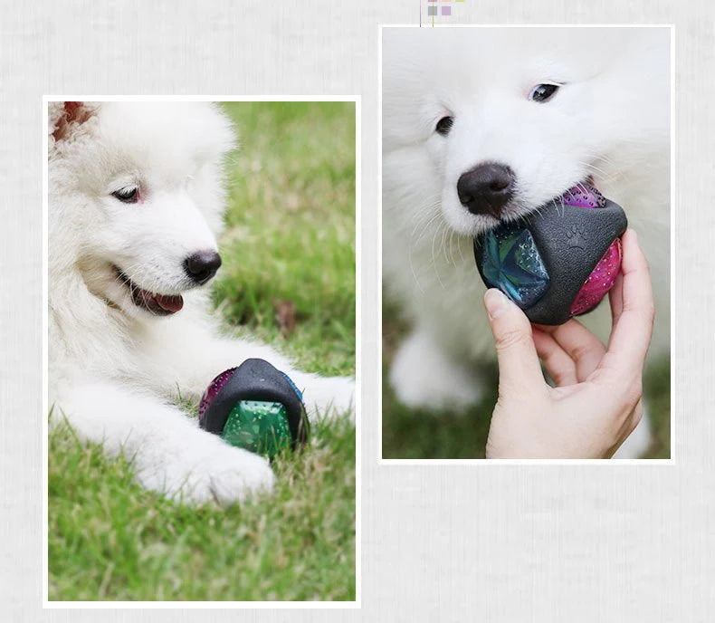 lowBounce™ Flashing Dog Toy Ball